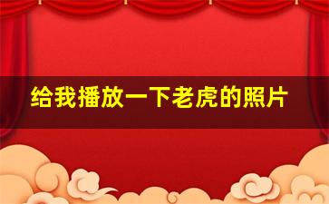 给我播放一下老虎的照片