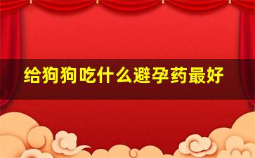 给狗狗吃什么避孕药最好