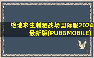 绝地求生刺激战场国际服2024最新版(PUBGMOBILE)