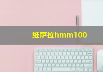 维萨拉hmm100