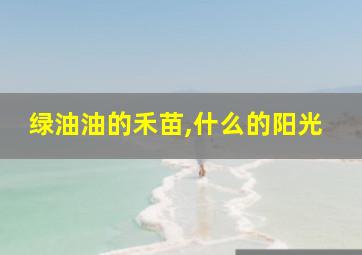 绿油油的禾苗,什么的阳光