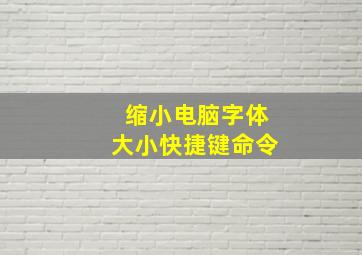 缩小电脑字体大小快捷键命令