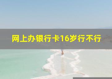 网上办银行卡16岁行不行