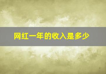 网红一年的收入是多少