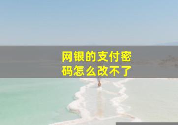 网银的支付密码怎么改不了