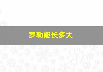 罗勒能长多大