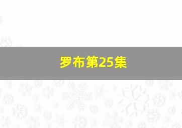 罗布第25集