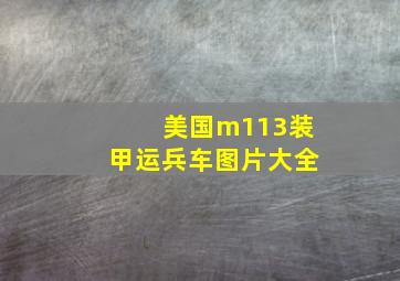 美国m113装甲运兵车图片大全