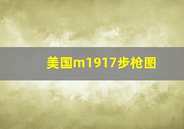 美国m1917步枪图