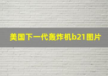 美国下一代轰炸机b21图片