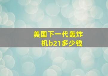 美国下一代轰炸机b21多少钱