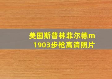 美国斯普林菲尔德m1903步枪高清照片