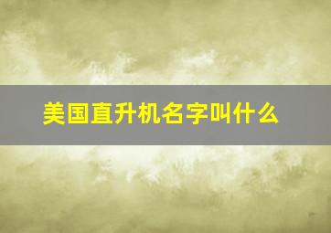 美国直升机名字叫什么