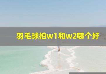 羽毛球拍w1和w2哪个好