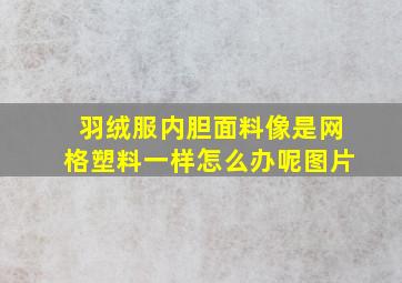 羽绒服内胆面料像是网格塑料一样怎么办呢图片