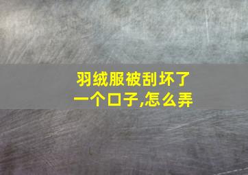 羽绒服被刮坏了一个口子,怎么弄