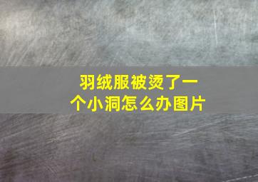 羽绒服被烫了一个小洞怎么办图片