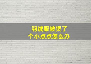 羽绒服被烫了个小点点怎么办