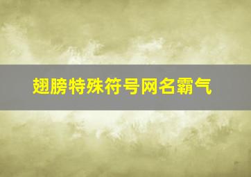 翅膀特殊符号网名霸气