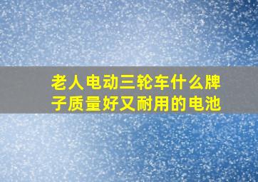 老人电动三轮车什么牌子质量好又耐用的电池