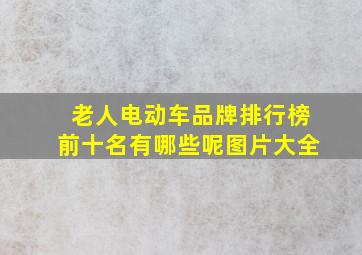 老人电动车品牌排行榜前十名有哪些呢图片大全