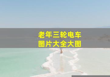 老年三轮电车图片大全大图