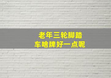 老年三轮脚踏车啥牌好一点呢