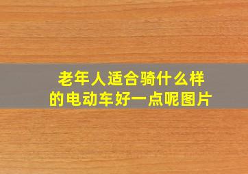 老年人适合骑什么样的电动车好一点呢图片