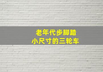 老年代步脚踏小尺寸的三轮车