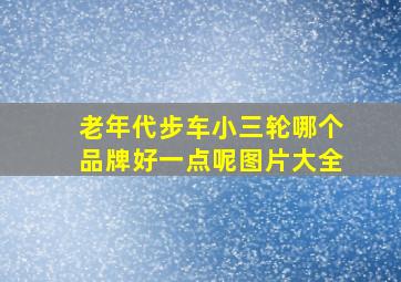 老年代步车小三轮哪个品牌好一点呢图片大全