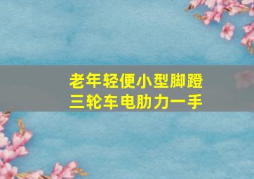 老年轻便小型脚蹬三轮车电肋力一手