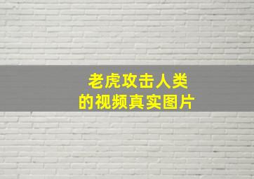 老虎攻击人类的视频真实图片