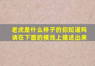 老虎是什么样子的你知道吗请在下面的横线上描述出来