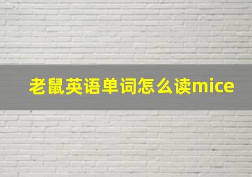 老鼠英语单词怎么读mice