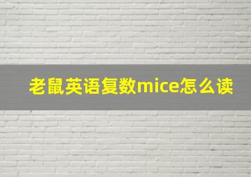 老鼠英语复数mice怎么读