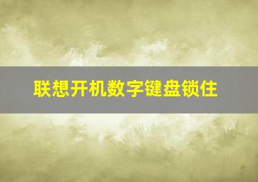 联想开机数字键盘锁住