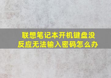 联想笔记本开机键盘没反应无法输入密码怎么办