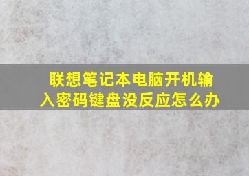 联想笔记本电脑开机输入密码键盘没反应怎么办