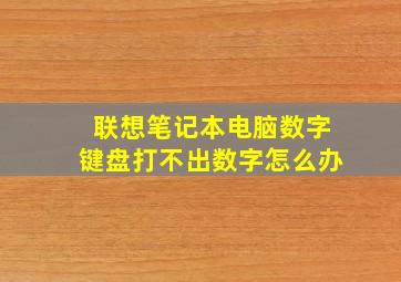 联想笔记本电脑数字键盘打不出数字怎么办