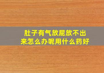 肚子有气放屁放不出来怎么办呢用什么药好