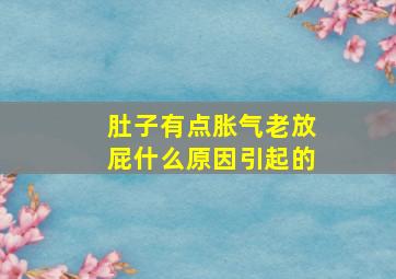 肚子有点胀气老放屁什么原因引起的