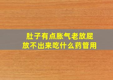 肚子有点胀气老放屁放不出来吃什么药管用