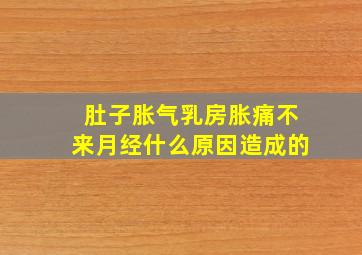 肚子胀气乳房胀痛不来月经什么原因造成的