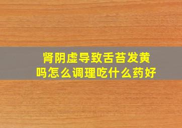 肾阴虚导致舌苔发黄吗怎么调理吃什么药好