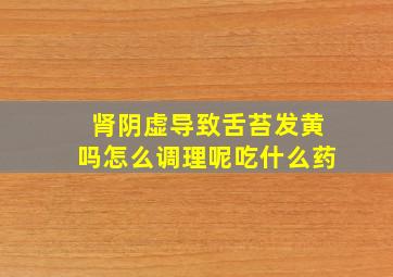 肾阴虚导致舌苔发黄吗怎么调理呢吃什么药