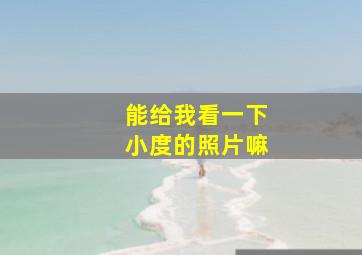 能给我看一下小度的照片嘛