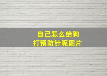 自己怎么给狗打预防针呢图片