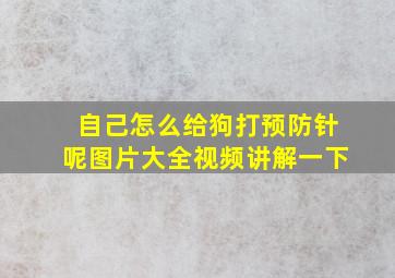 自己怎么给狗打预防针呢图片大全视频讲解一下