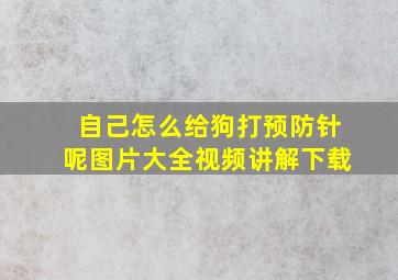 自己怎么给狗打预防针呢图片大全视频讲解下载