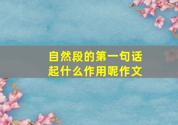 自然段的第一句话起什么作用呢作文